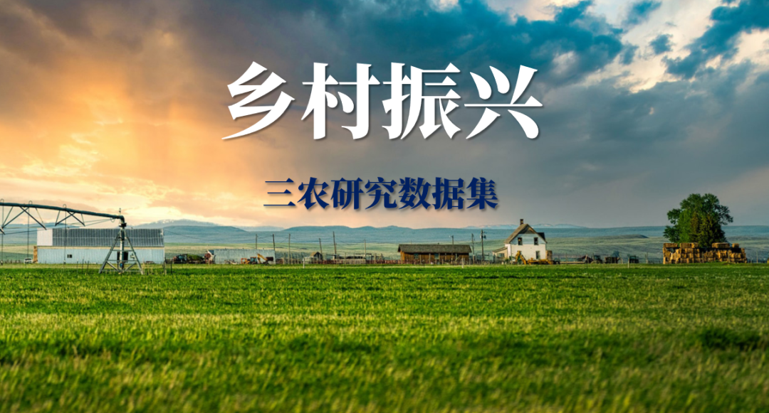 新增乡村振兴与新质生产力、更新农村面板数据等，三农研究数据合集